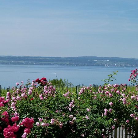 Abc Ferienwohnungen Abc Wohnung A Meersburg Exteriér fotografie