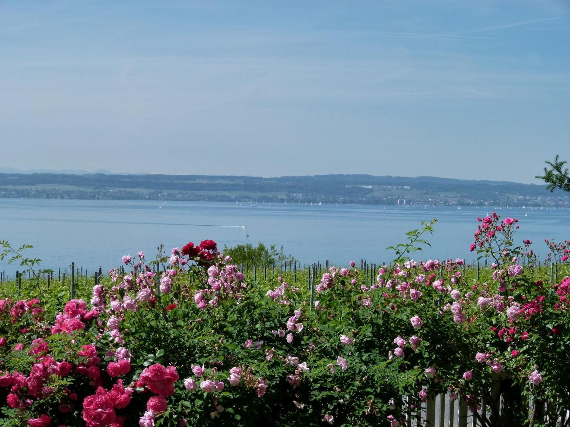 Abc Ferienwohnungen Abc Wohnung A Meersburg Exteriér fotografie