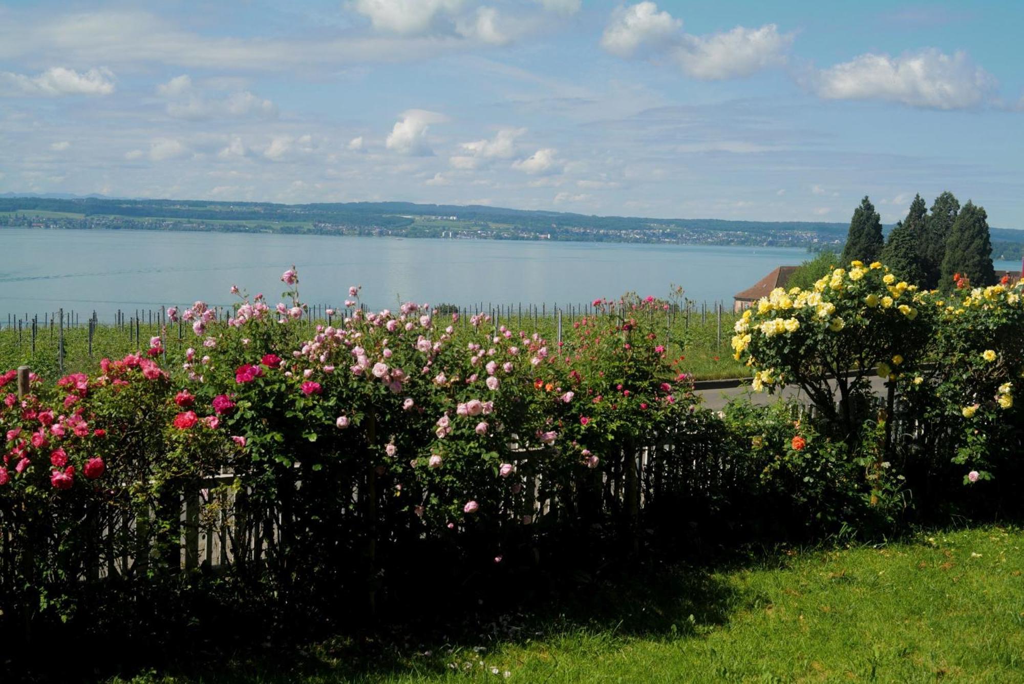 Abc Ferienwohnungen Abc Wohnung A Meersburg Exteriér fotografie